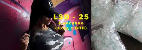 индика Сатка