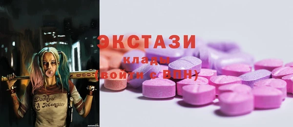 индика Сатка