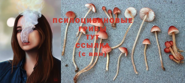 гашик Сафоново
