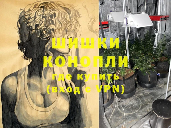 стафф Сосновоборск