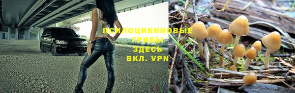 хмурый Вуктыл