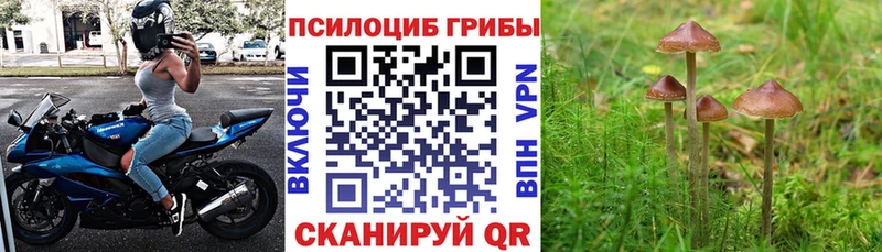 Псилоцибиновые грибы MAGIC MUSHROOMS  где можно купить   Воскресенск 
