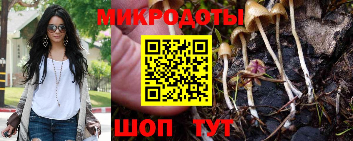 Воскресенск  Псилоцибиновые грибы Psilocybe  закладки  Вход с VPN  Псилоцибиновые грибы Magic Shrooms 