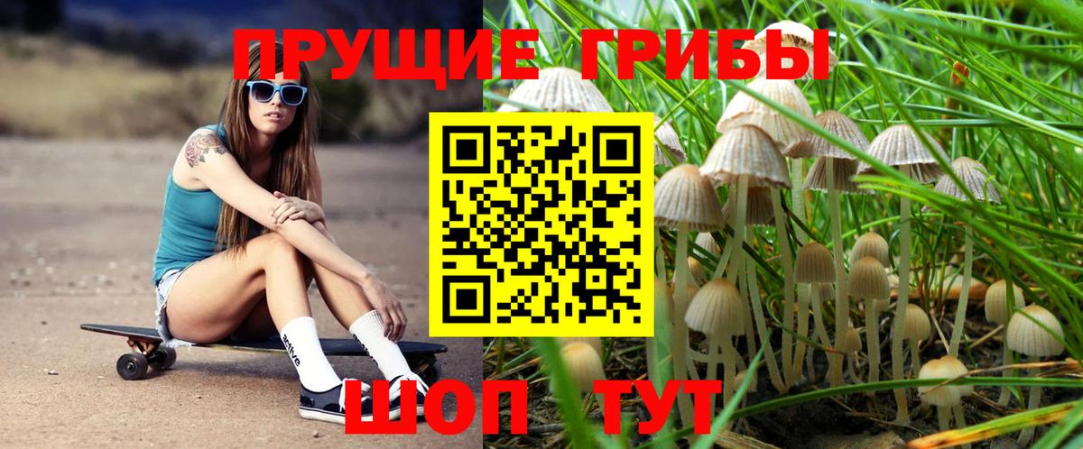 Псилоцибиновые грибы Psilocybe Воскресенск