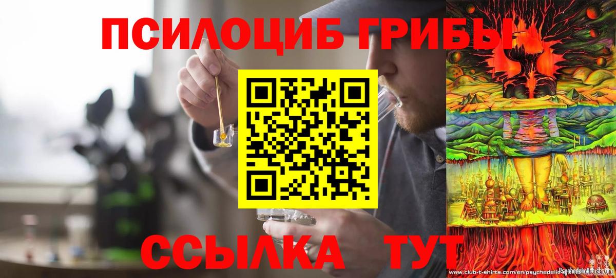 Галлюциногенные грибы Psilocybine cubensis  Воскресенск 